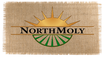 NorthMoly