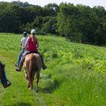 Missouri Horseback Riding, Trail riding