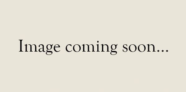 Placeholder text saying 'Image coming soon...'