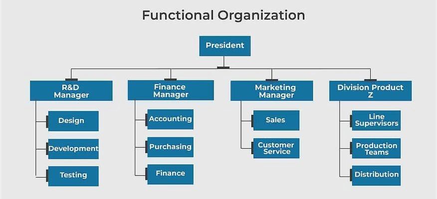 What are the 5 approaches to organizational structure?