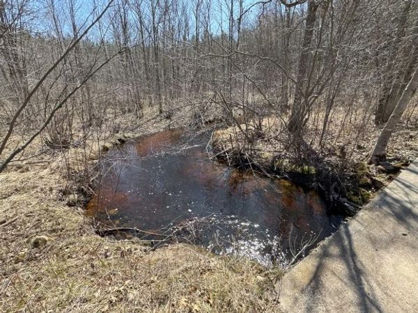 Chicog Creek South of Bridge