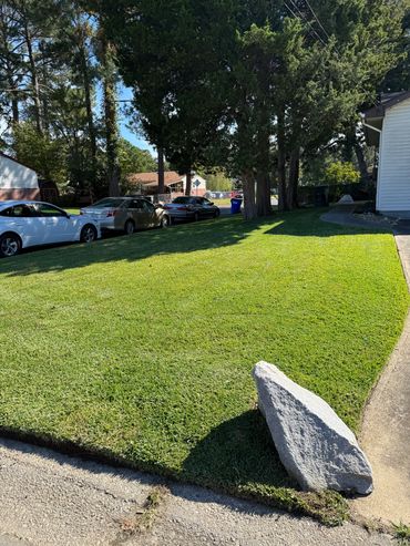 Full yard service for residential home in Hampton Roads