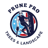 The Prune Pro