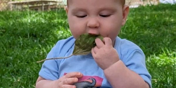 Everett rocking his shakasaurus onesie and eating his greens! 