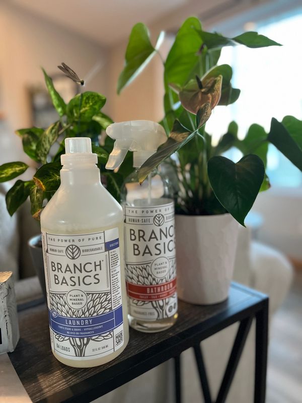 Ditch the Toxins

