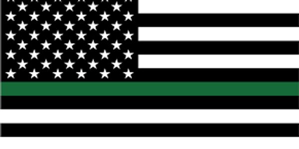 Black and white American flag with a single green stripe.