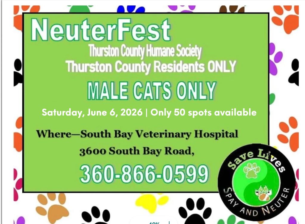 NeuterFest for male cats in Thurston County on June 6, 2026, at South Bay Veterinary Hospital.