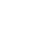 Plexys Consulting