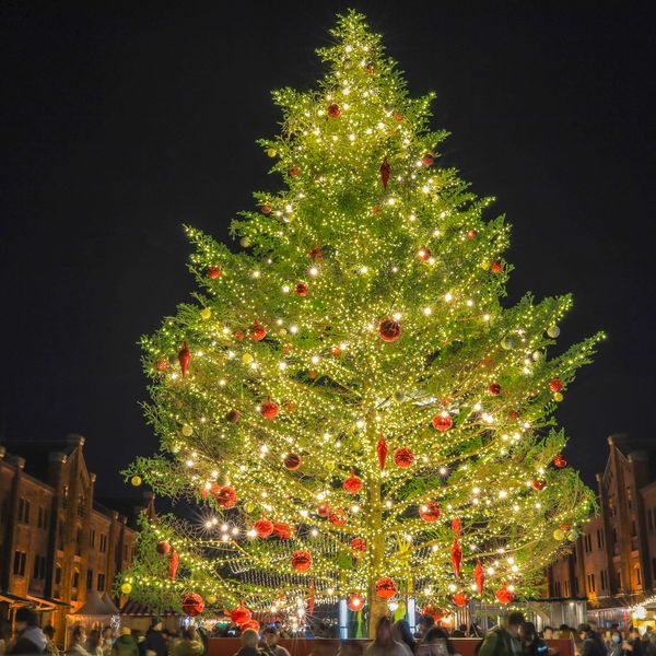 Christmas tree lighting, Santa for public events, Santa for Christmas tree lighting