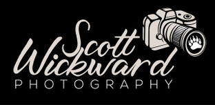 Scott Wickward Photography