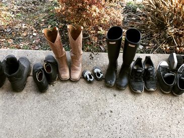 Photo of seven pairs of shoes.