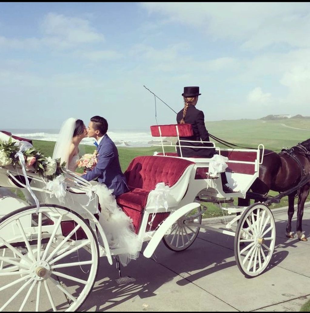 Comfortably seating 5 passengers, this carriage provides style and sophistication for any occasion.
