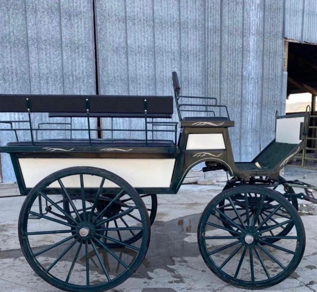 6 passenger wagonette by Bay Area Carriage