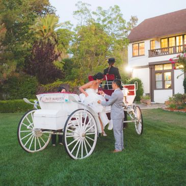 Arrive at your wedding in a white horse drawn carriage, available throughout the entire San Francisc