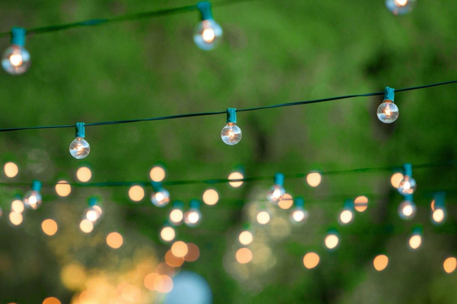 String lights on Prince George Street