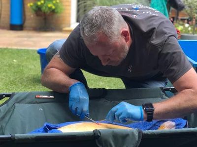 Koi Valley Fish Health Koi Health Pond Health Koi Valley