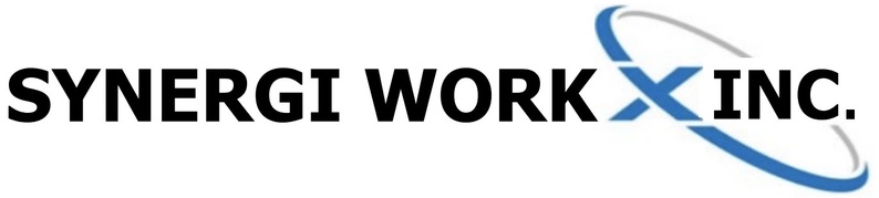 synergiworkx.com
