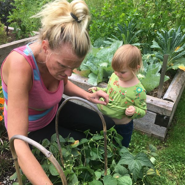 A young child and adult collecting fresh herbs from a backyard garden 