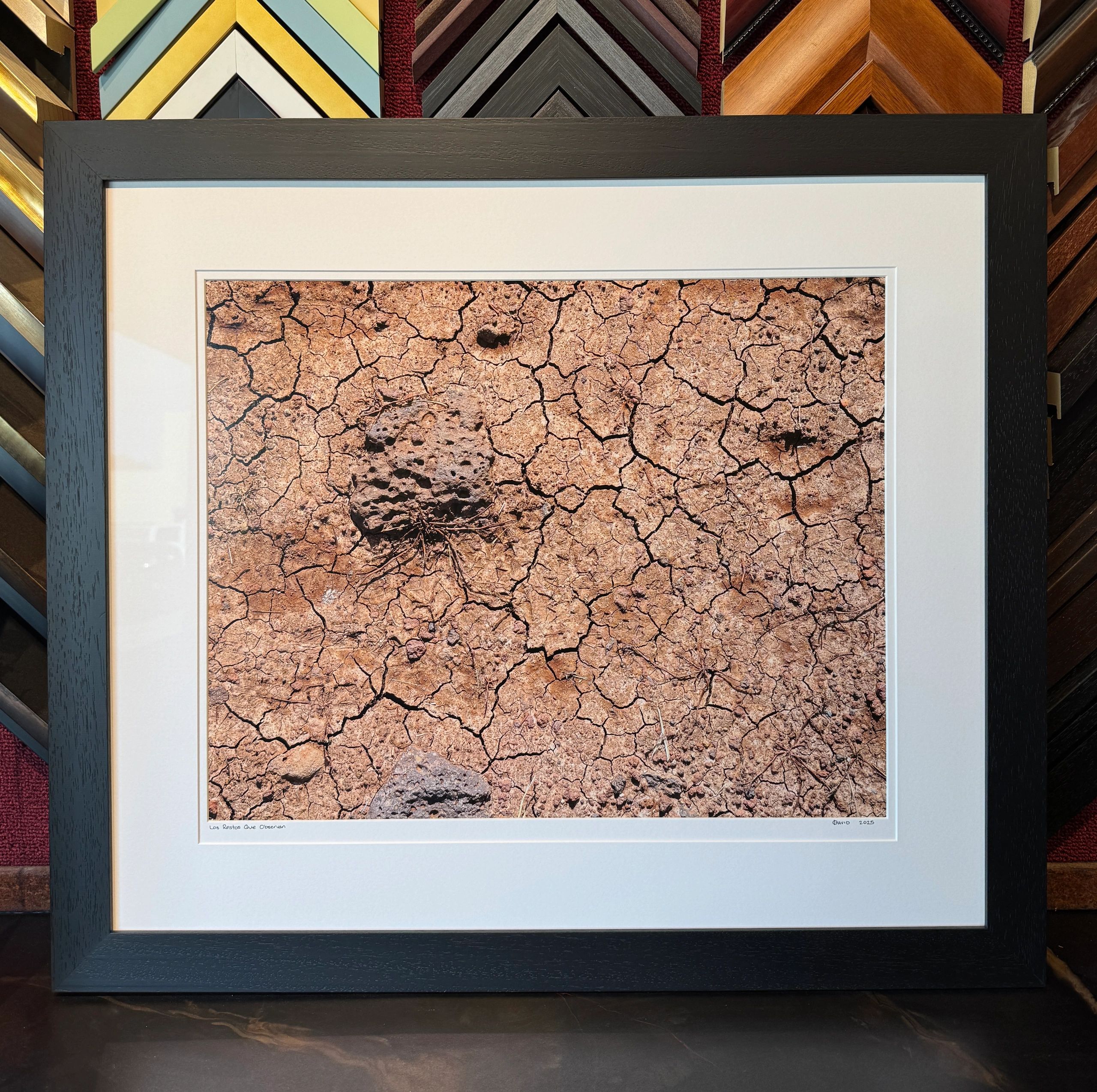 Framed photograph of cracked dry earth, titled 'Los Restos Que Observan'.