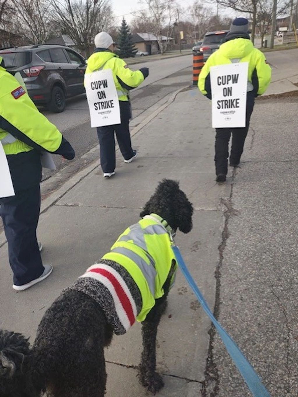 People and a dog wearing bright jackets on strike signs walking on the sidewalk.