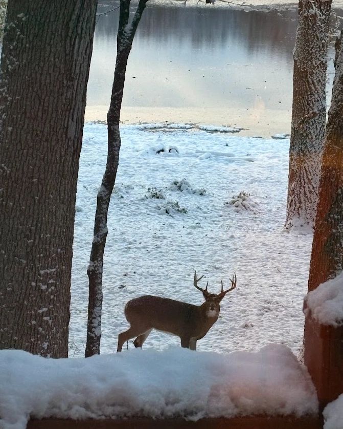 Rest IS Productive. The Ultimate Reframe