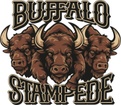 Buffalo Stampede Band