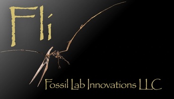 Fli