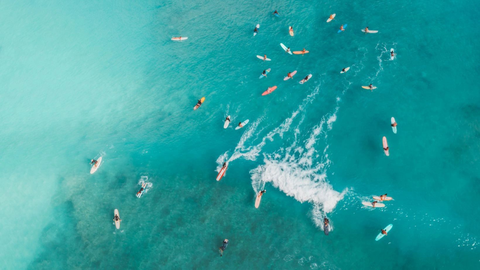 Our Coaches | Breaking Waves Coaching