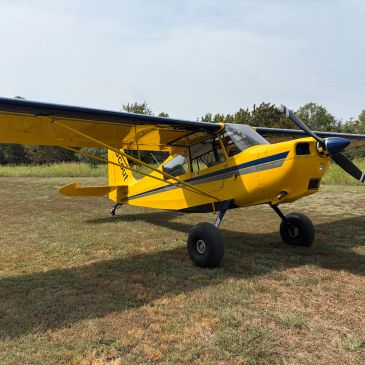 Bellanca Scout