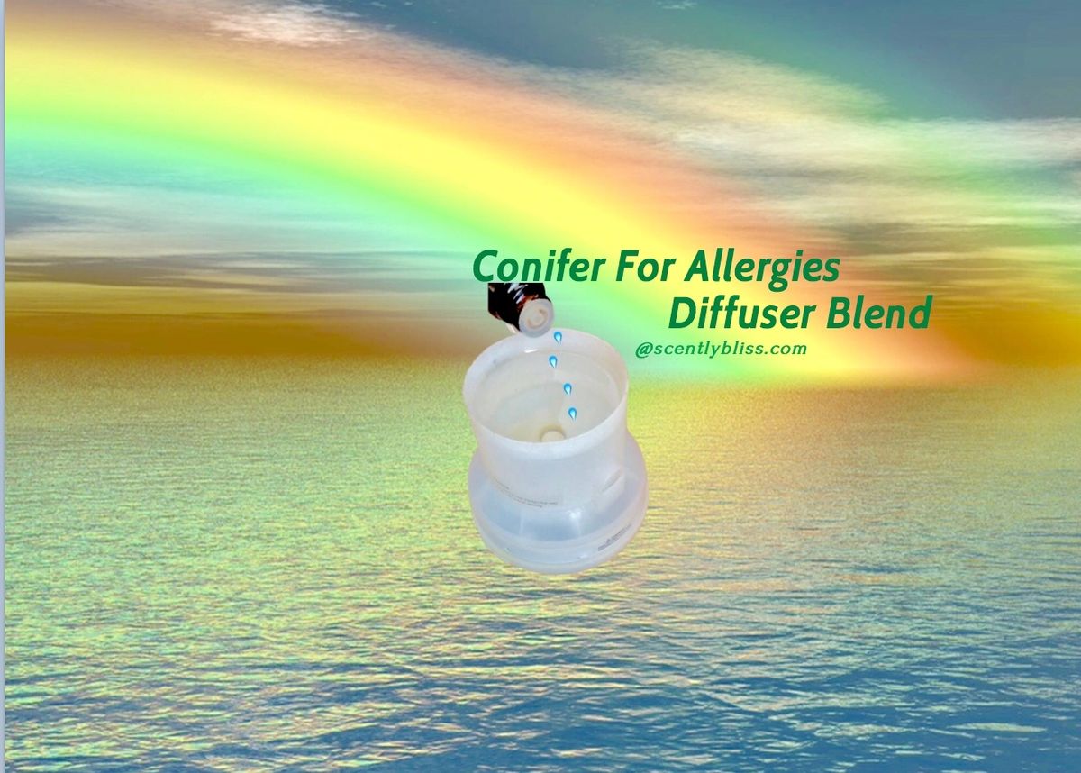 Conifer For Allergy