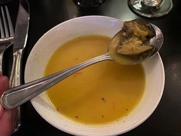 Snail and fennel soup