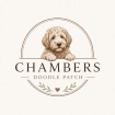 Chambers Doodle Patch