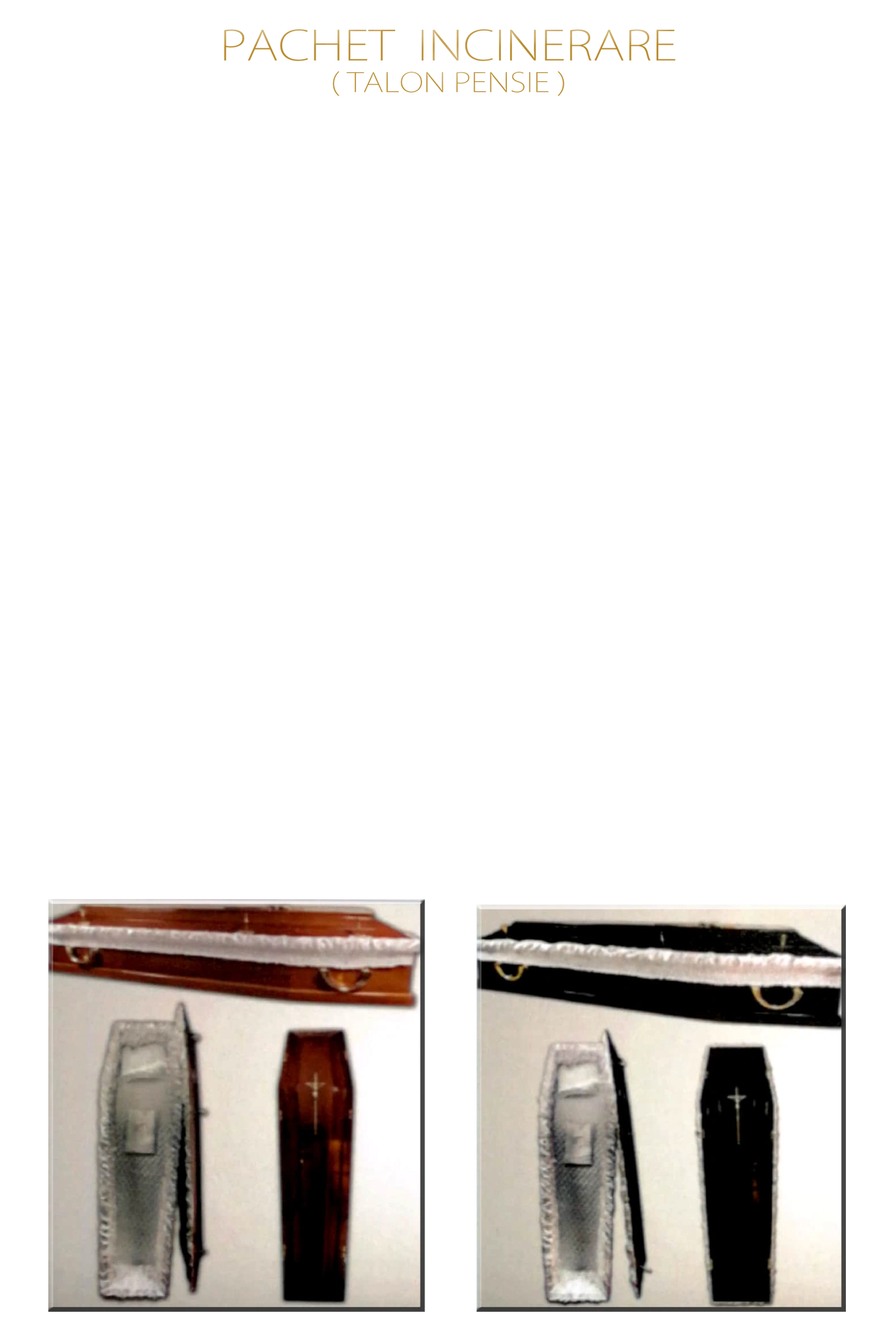Funeral incineration package with services and premium coffin products.