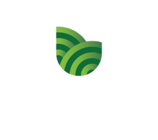 Harvey's Snow Removal Almonte