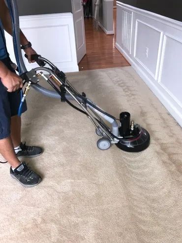 A person vacuuming a carpet