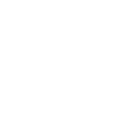 Dose Coffee