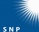 SNP Investment
