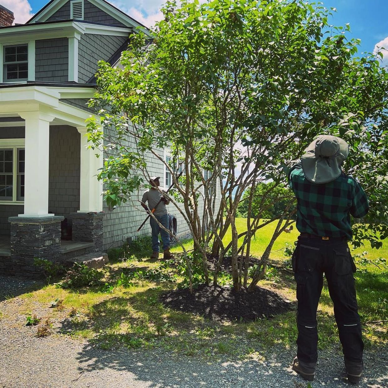 Pruning Regenerative Gardenworks