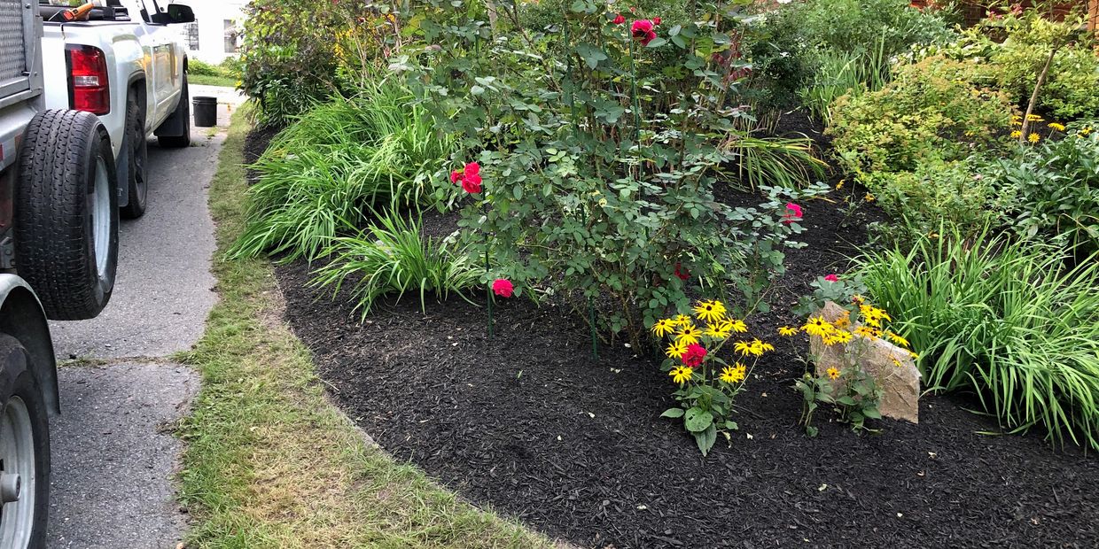 Maintenance Regenerative Gardenworks