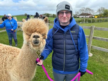 A person in blue holding a fluffy alpaca with a pink leash outdoors.