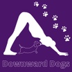 Downward Dogs