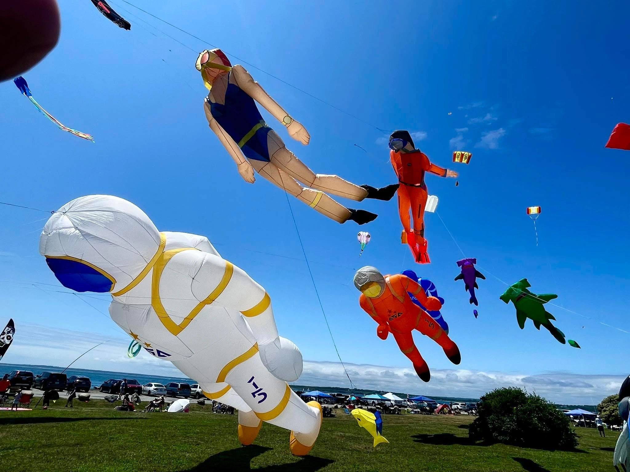 Kites flying over Brenton Point during the Newport Kite Festival