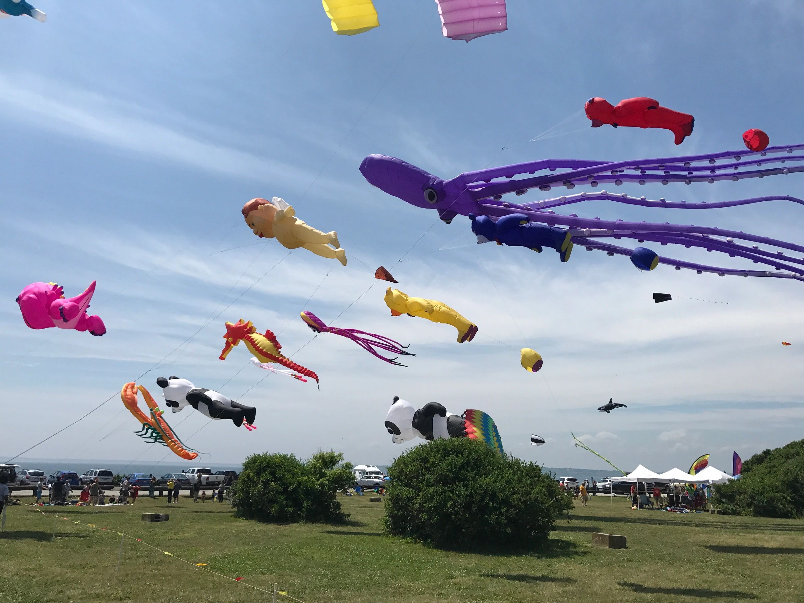 The Newport Kite Festival