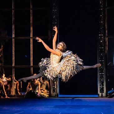 Ballet dancer mid-leap in a feathered costume on stage.