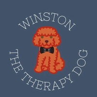 Winston the Therapy Dog