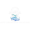 Auto Perfection Solutions