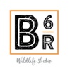 B6 Ranch & Wildlife Studio