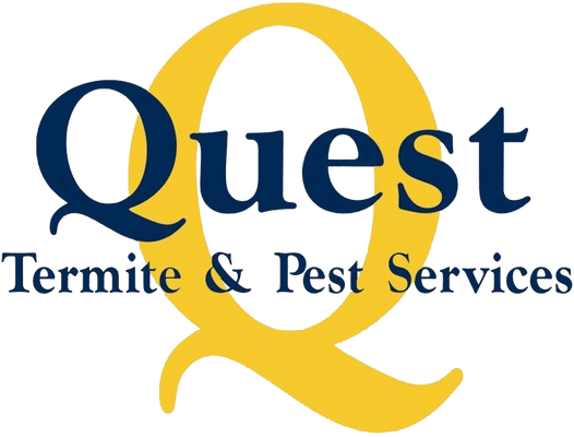 Top Rated Pest Control - Quest Termite & Pest Control ...