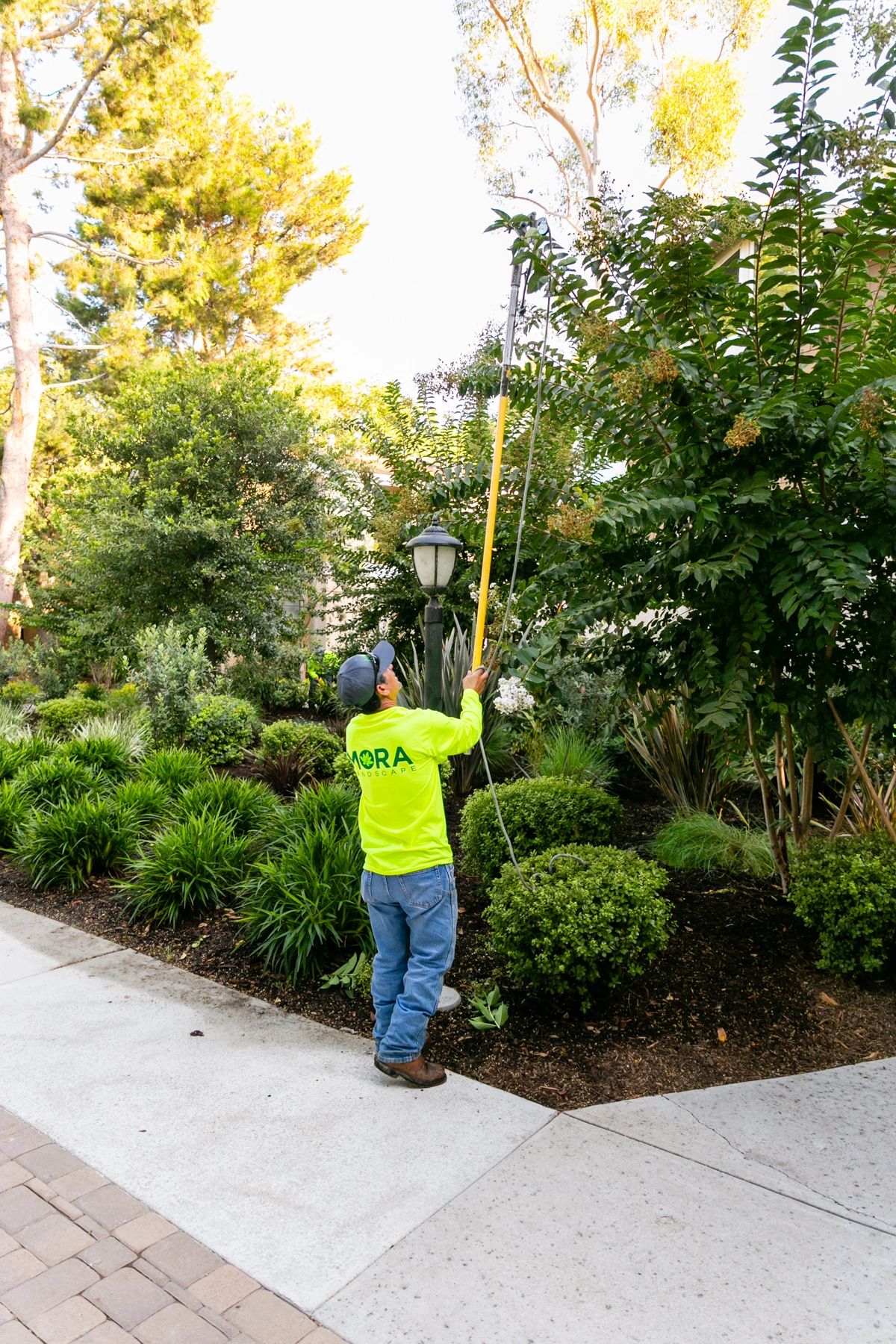 Mora Landscape Inc Home