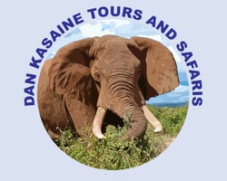Tours And Safaris
